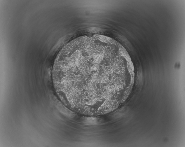 X0000110870473200907161442