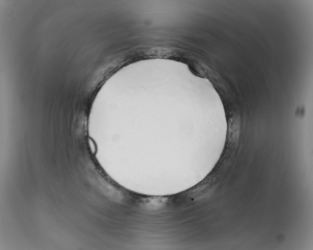 X0000110870474200907161442