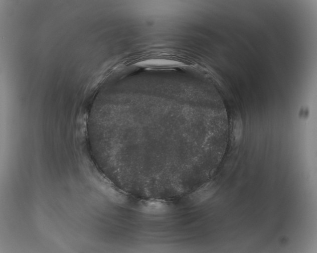 X0000110870475200907161442