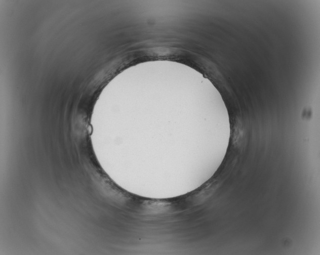 X0000110870476200907161442