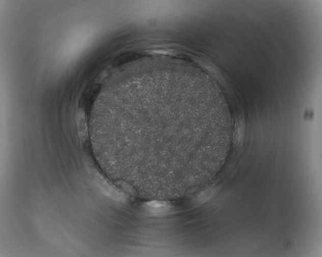 X0000110870477200907161442