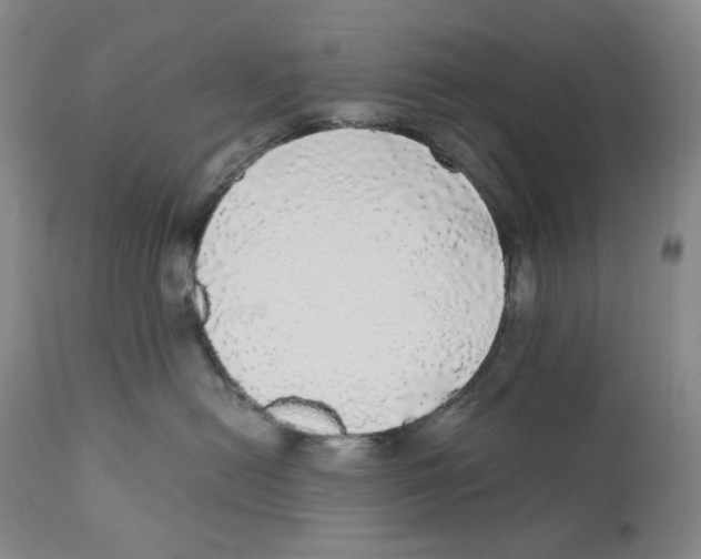 X0000110870478200907161442