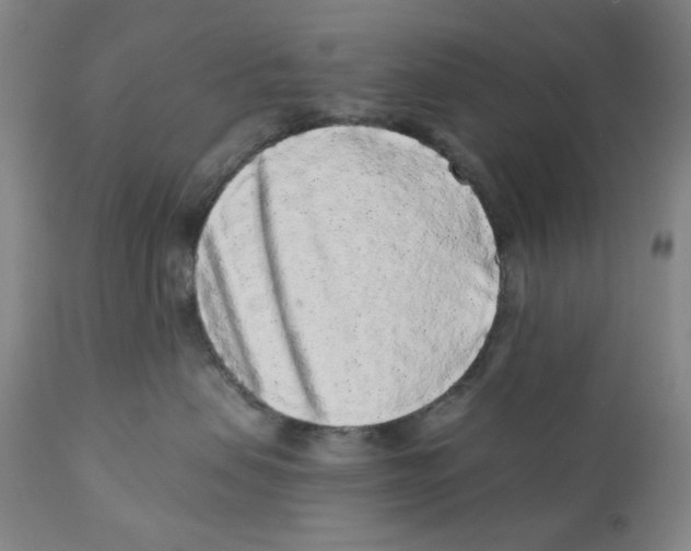 X0000110870479200907161442