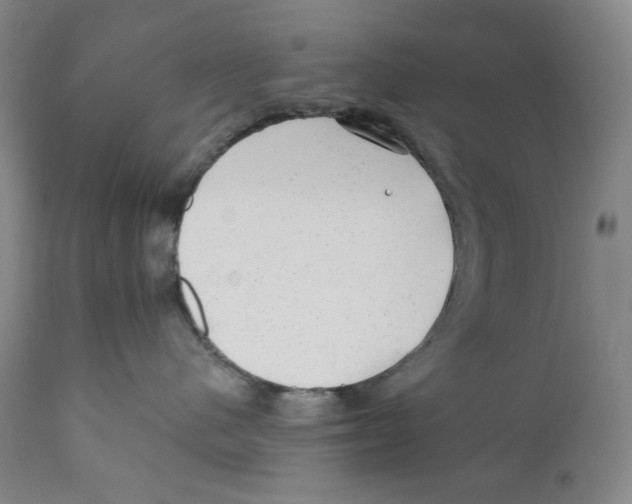 X0000110870480200907161442