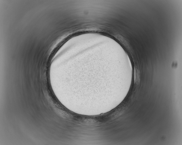 X0000110870483200907161442