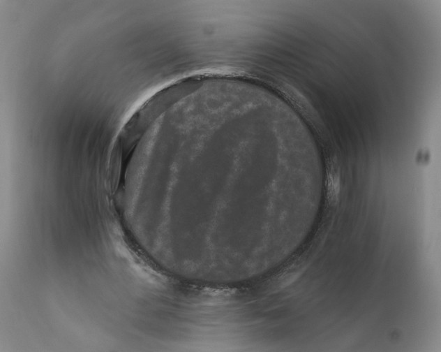 X0000110870484200907161442