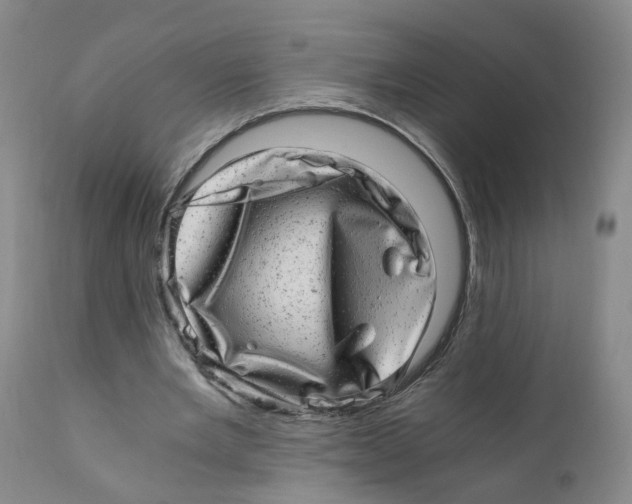 X0000110870485200907161442