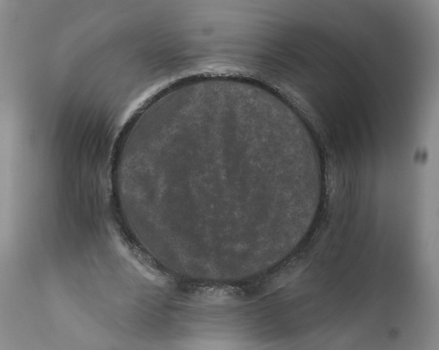 X0000110870488200907161442