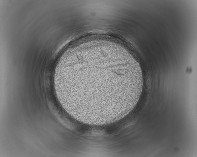 X0000110870491200907161442