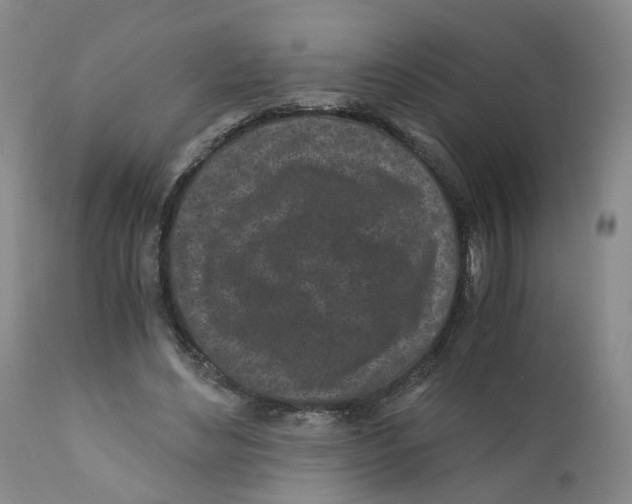 X0000110870492200907161442