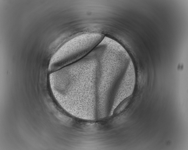 X0000110870493200907161442