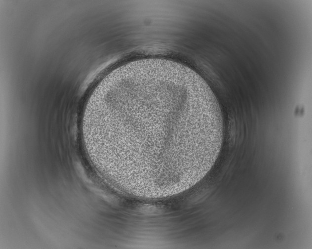 X0000110870494200907161442