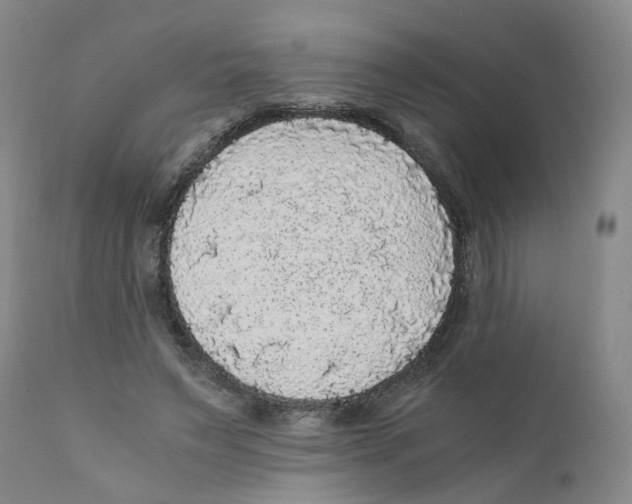 X0000110870495200907161442