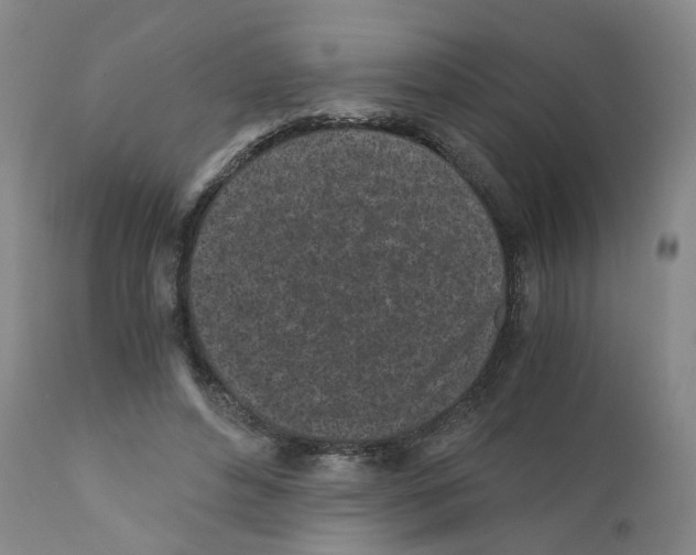 X0000110870496200907161442