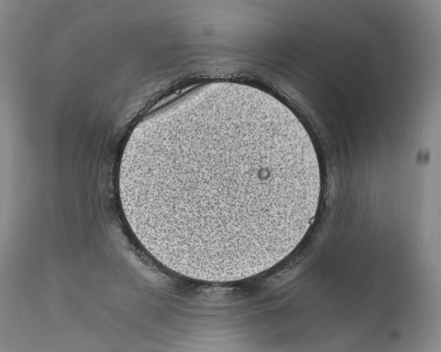 X0000110870497200907161442