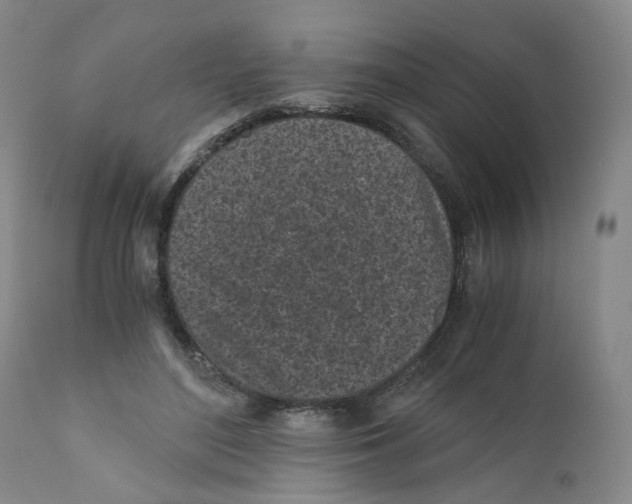 X0000110870500200907161441