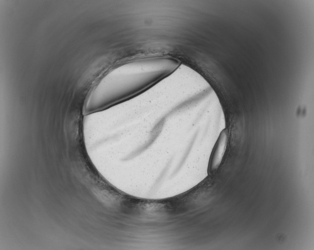 X0000110870501200907161441