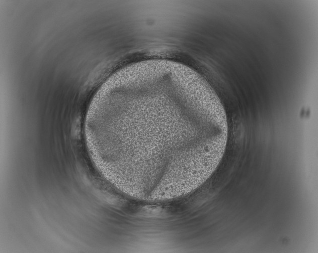 X0000110870502200907161441