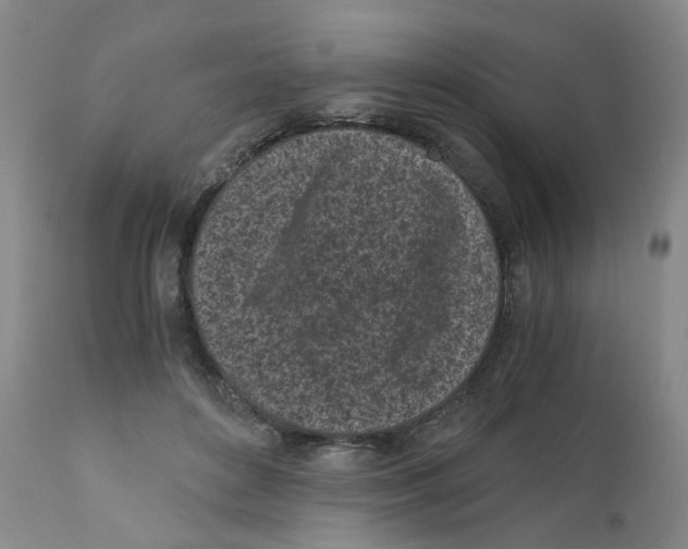 X0000110870504200907161441