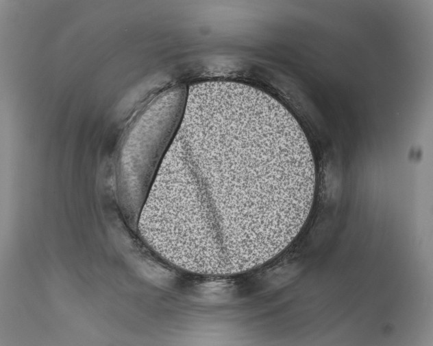 X0000110870505200907161441