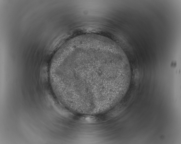 X0000110870506200907161441