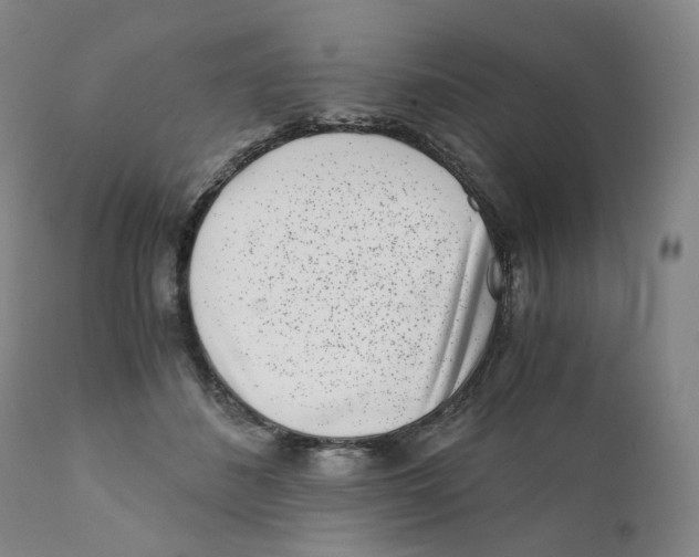 X0000110870508200907161441