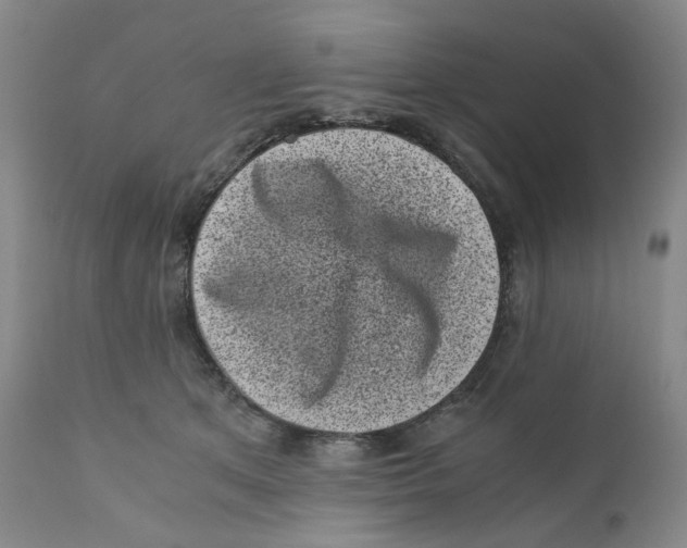 X0000110870513200907161441