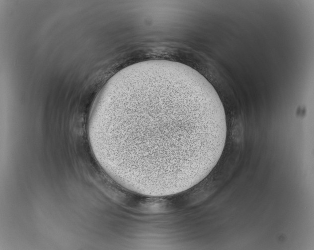 X0000110870514200907161441