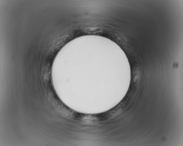 X0000110870515200907161441