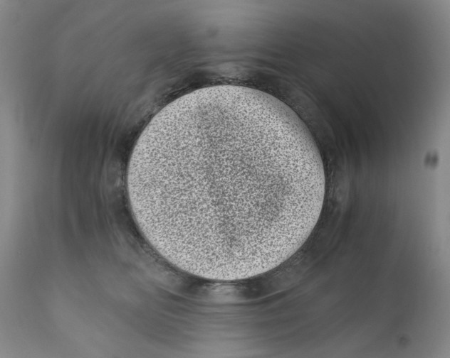 X0000110870518200907161441