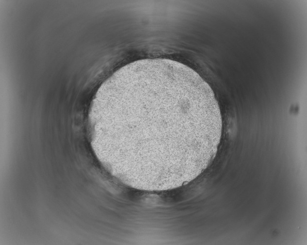 X0000110870519200907161441