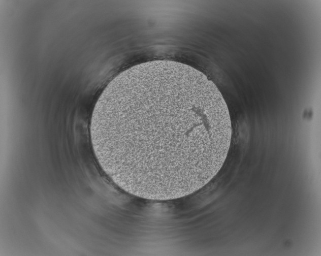 X0000110870522200907161441