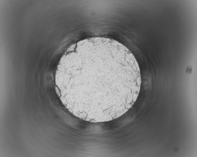 X0000110870523200907161441