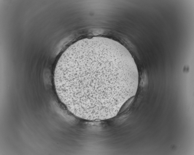 X0000110870524200907161441