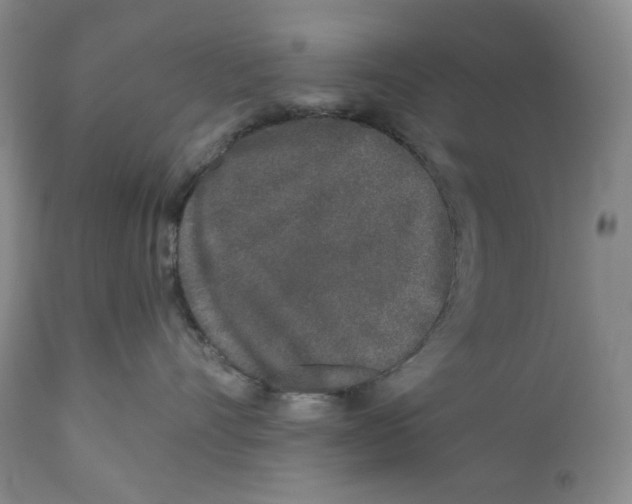 X0000110870528200907161441