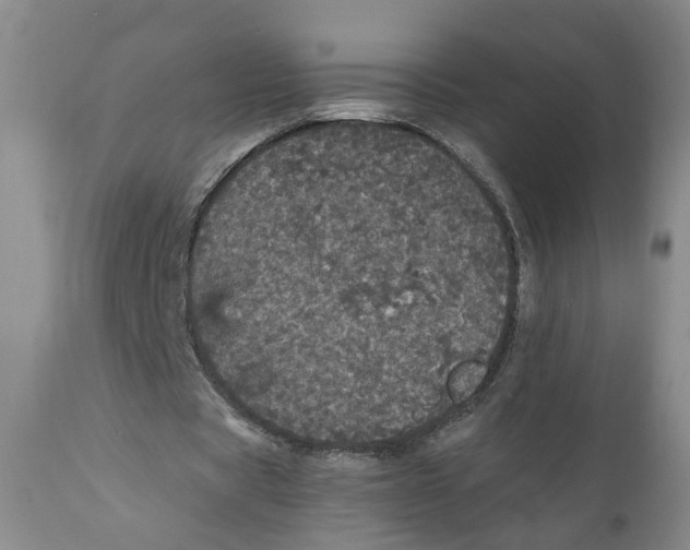 X0000110870529200907161440