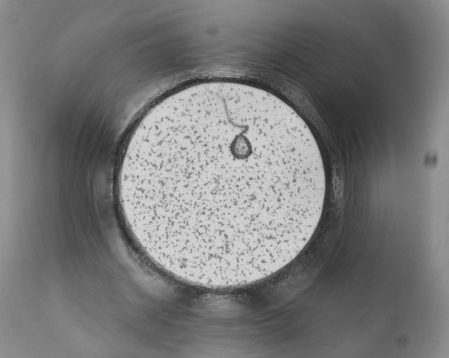 X0000110870534200907161441