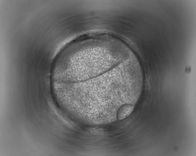 X0000110870535200907161441