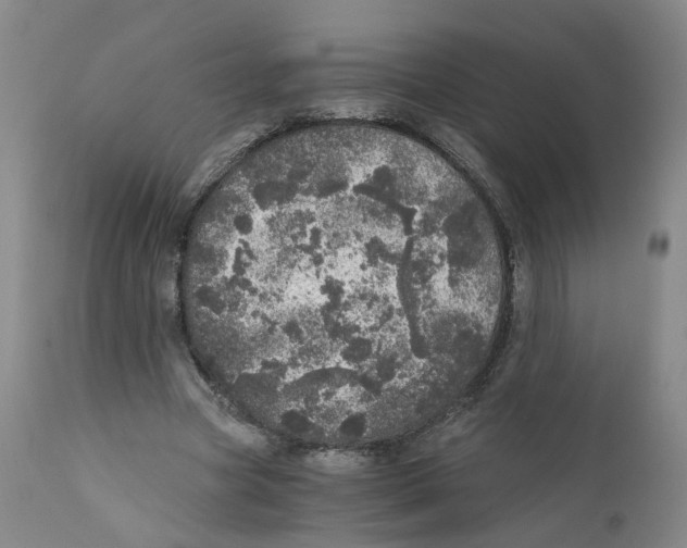 X0000110870537200907161441