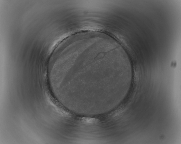 X0000110870539200907161441