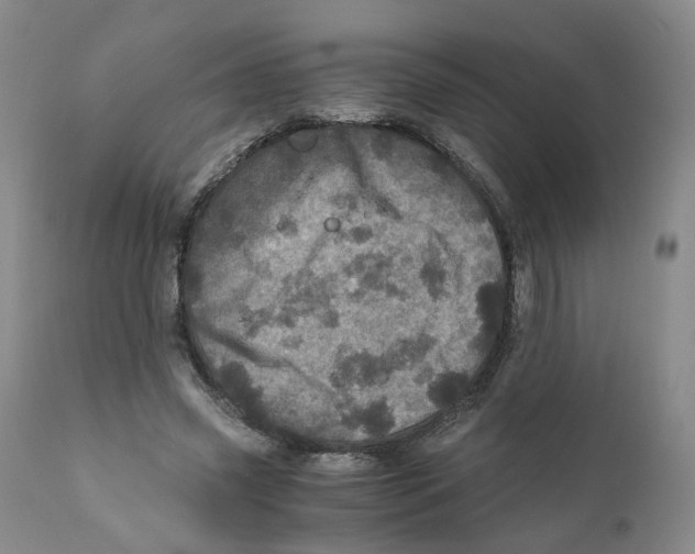 X0000110870541200907161441