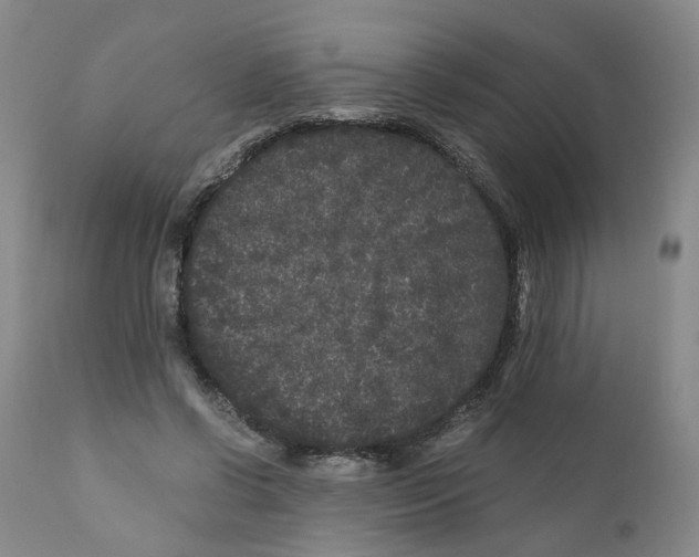 X0000110870542200907161441