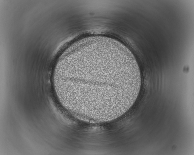 X0000110870543200907161441