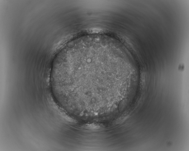 X0000110870545200907161441