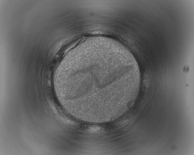 X0000110870547200907161441