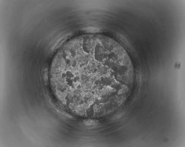 X0000110870549200907161441