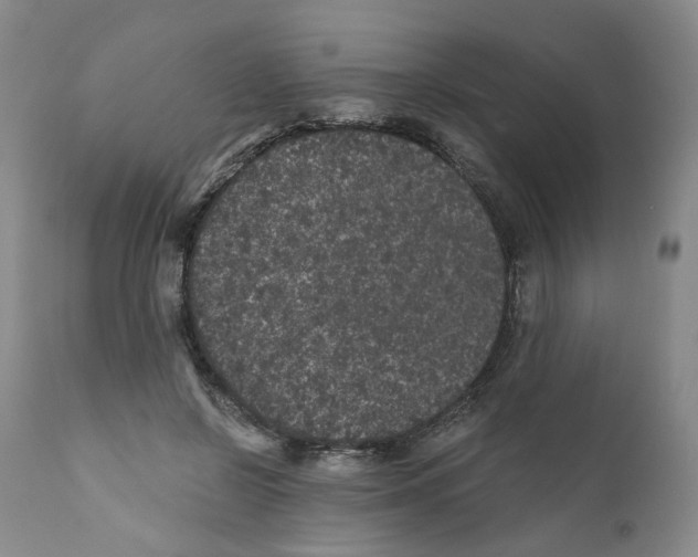 X0000110870550200907161441