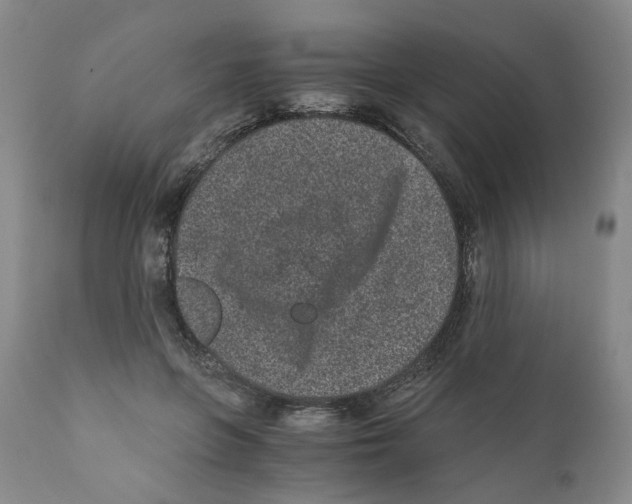 X0000110870551200907161441