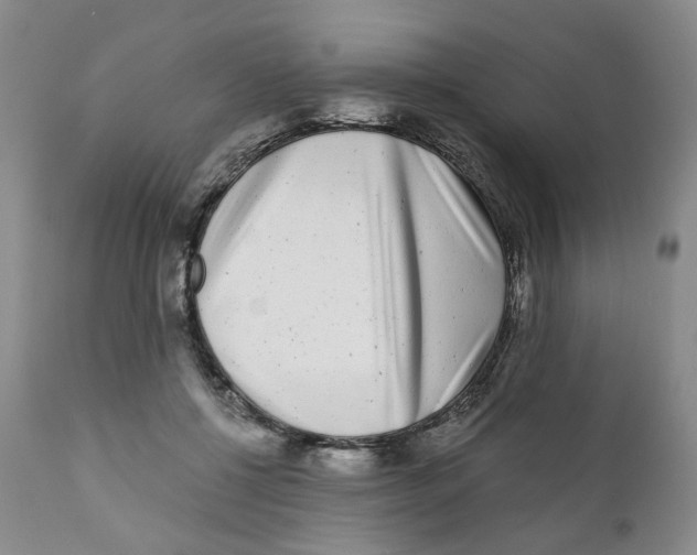 X0000110870552200907161441