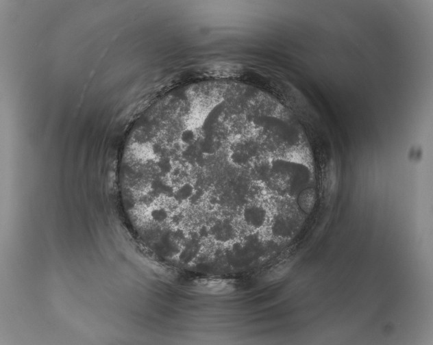 X0000110870553200907161441